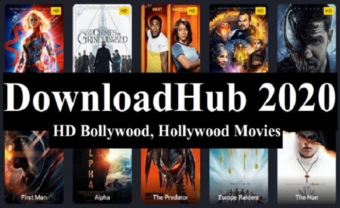 How to Download Movies From DownloadHub
