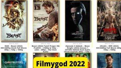 Why Should You Use Filmygod Movie Download